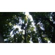 fotografia